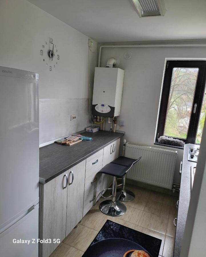 Apartament In Bucovina, Campulung Moldovenesc, Impecabil . Apartment Exterior photo